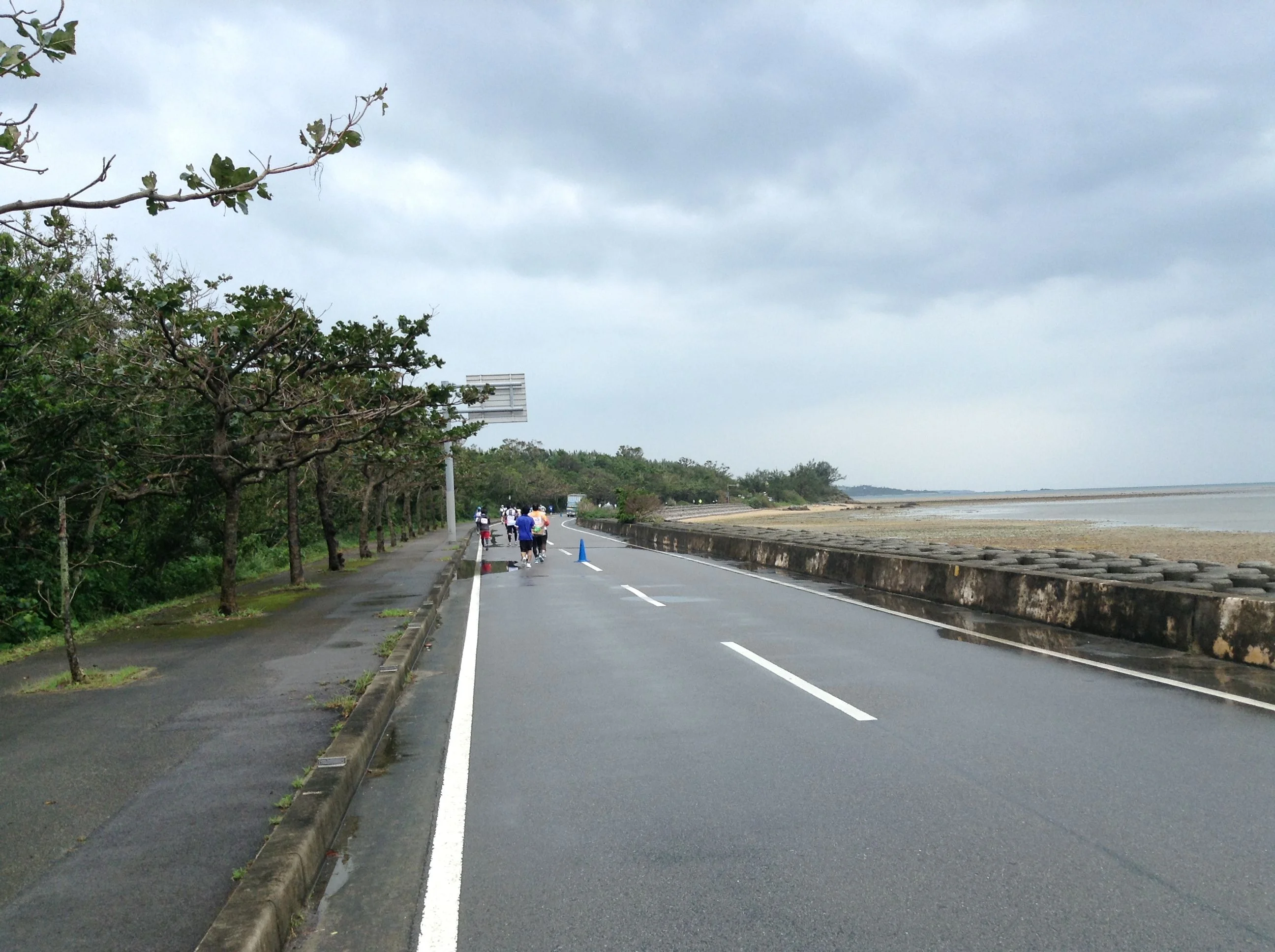 海岸沿いを走る