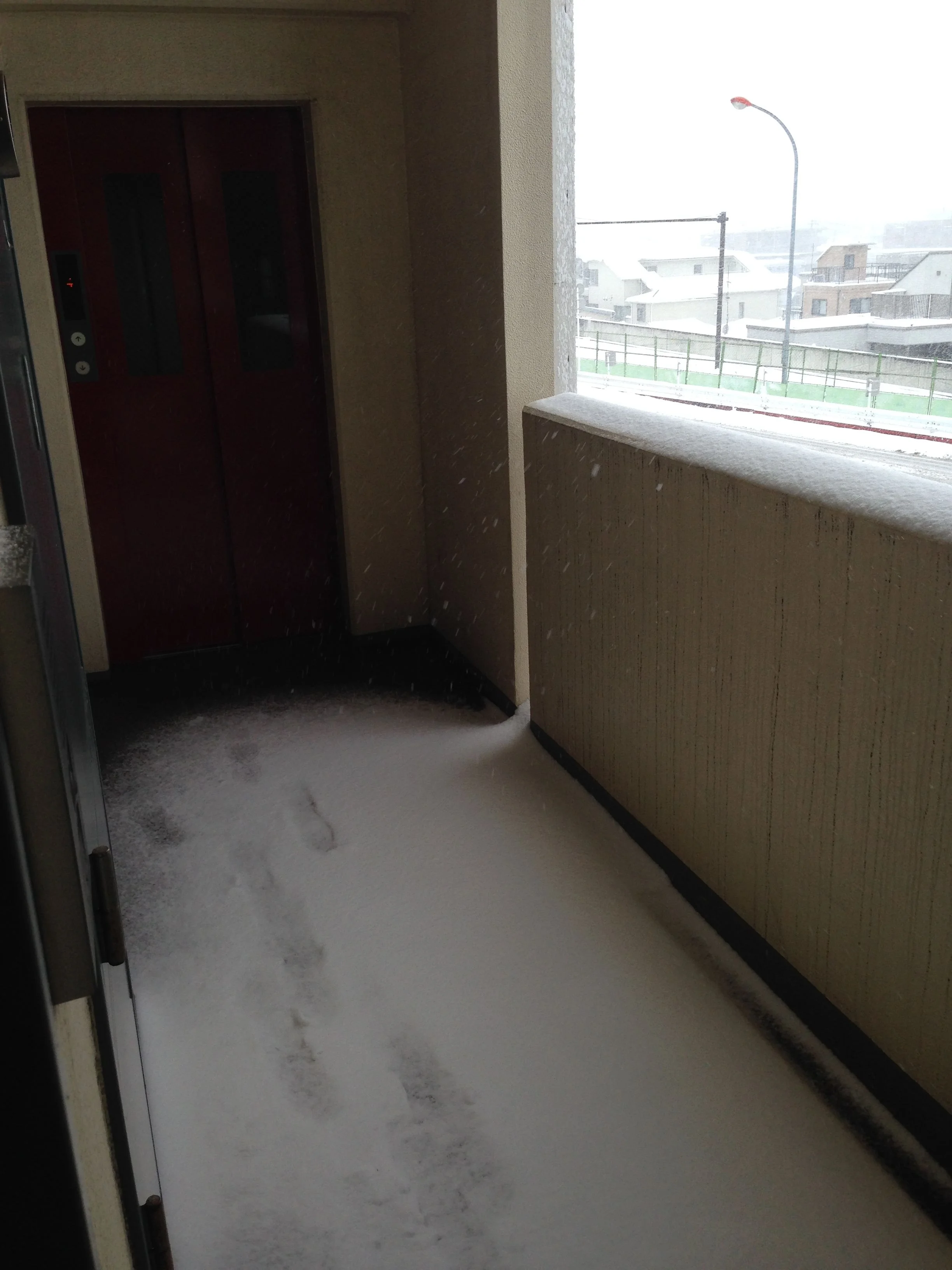 玄関に雪が積もってる