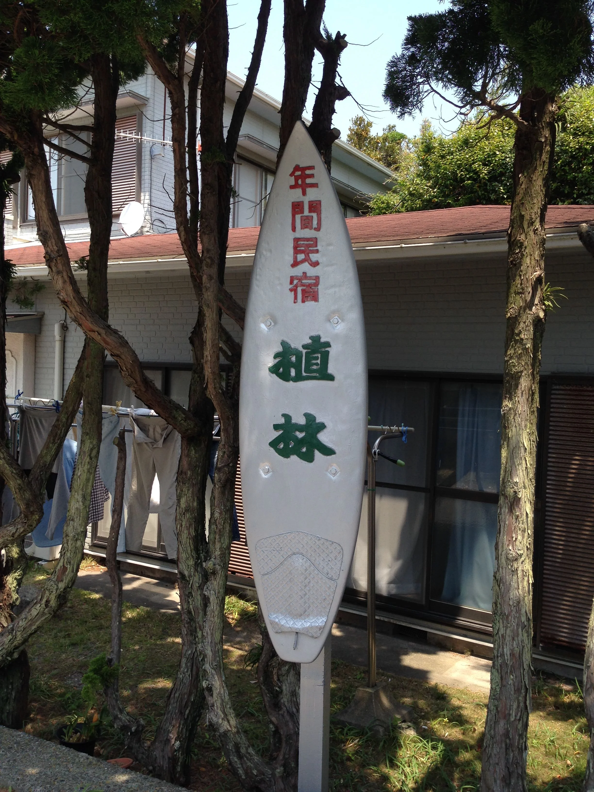 いつも宿泊している植林（うえりん）