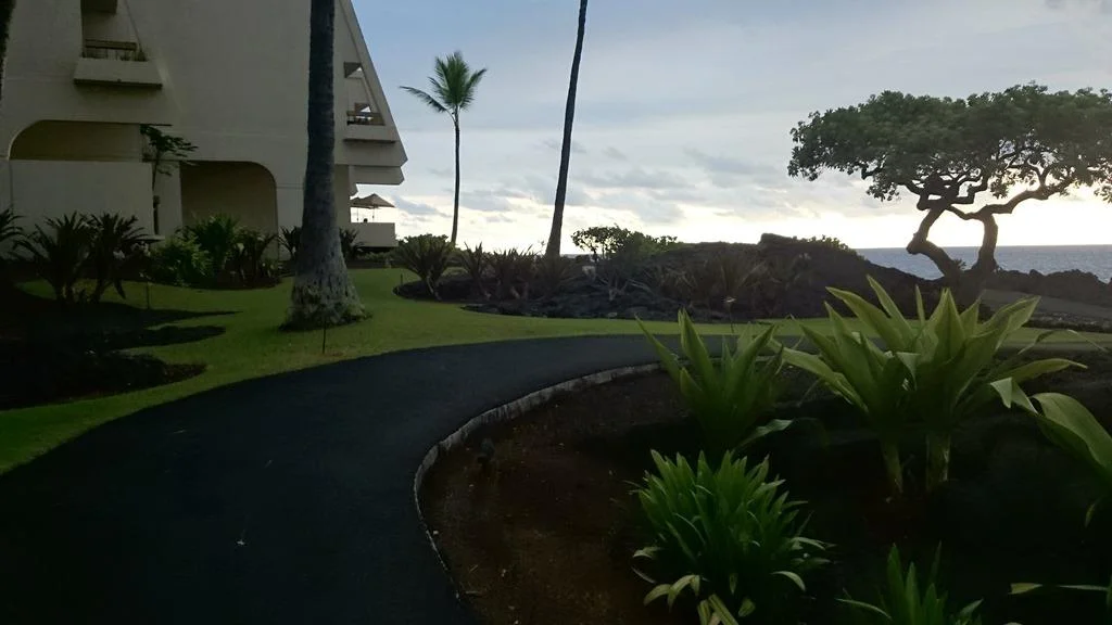 ここもコースです