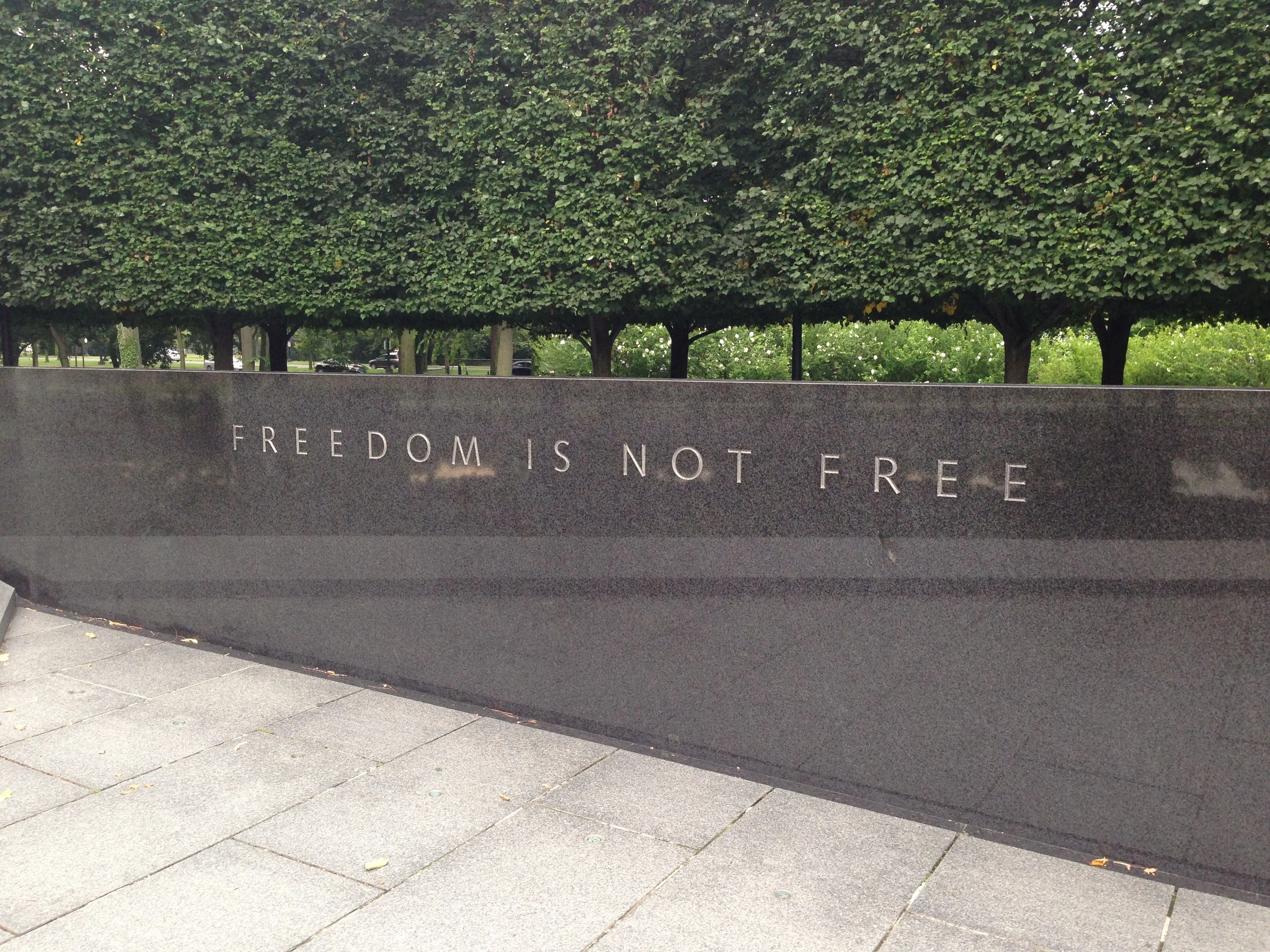 FREEDOM IS NOT FREE