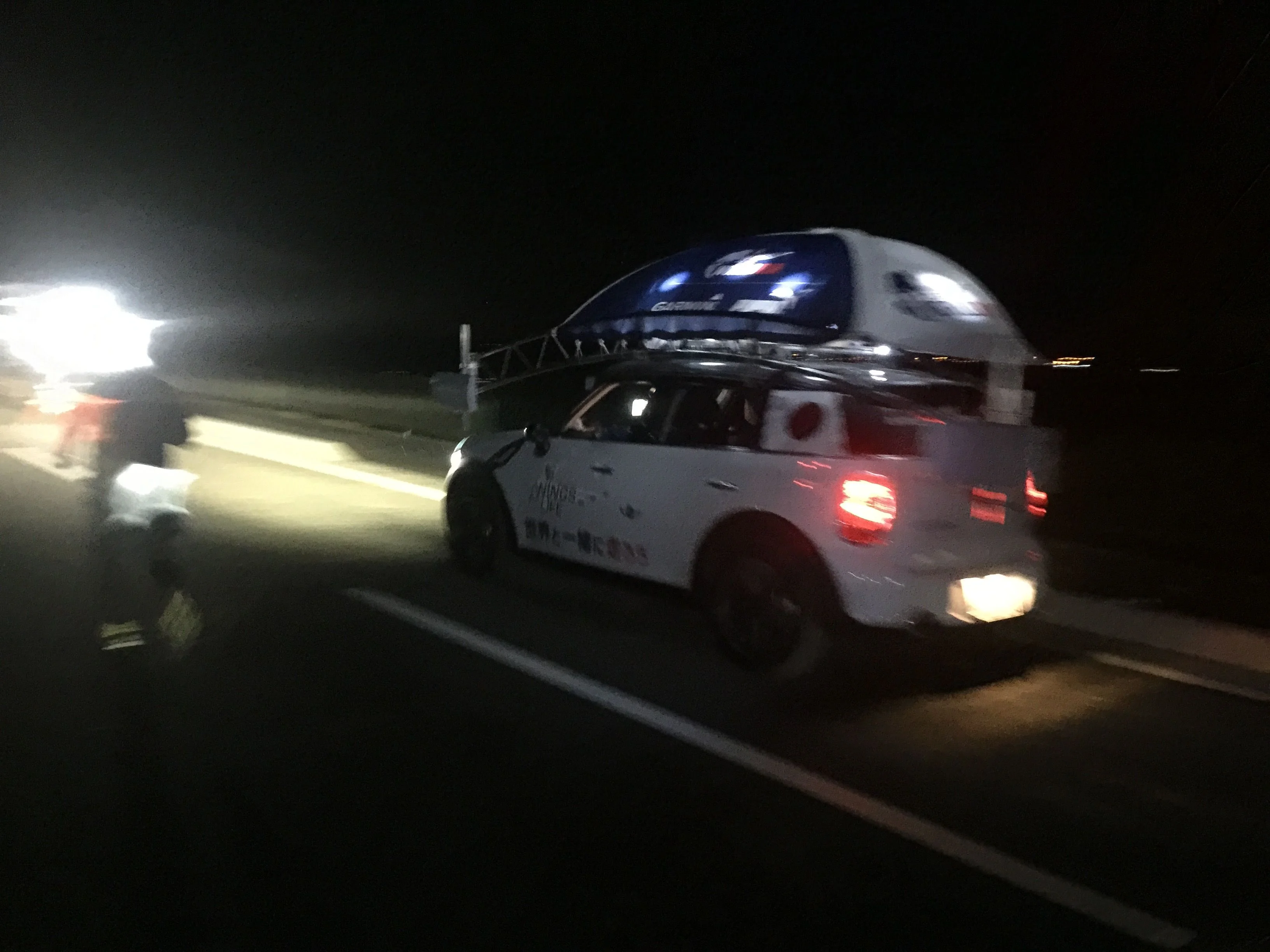 Wings for Life World Run に参加してきた