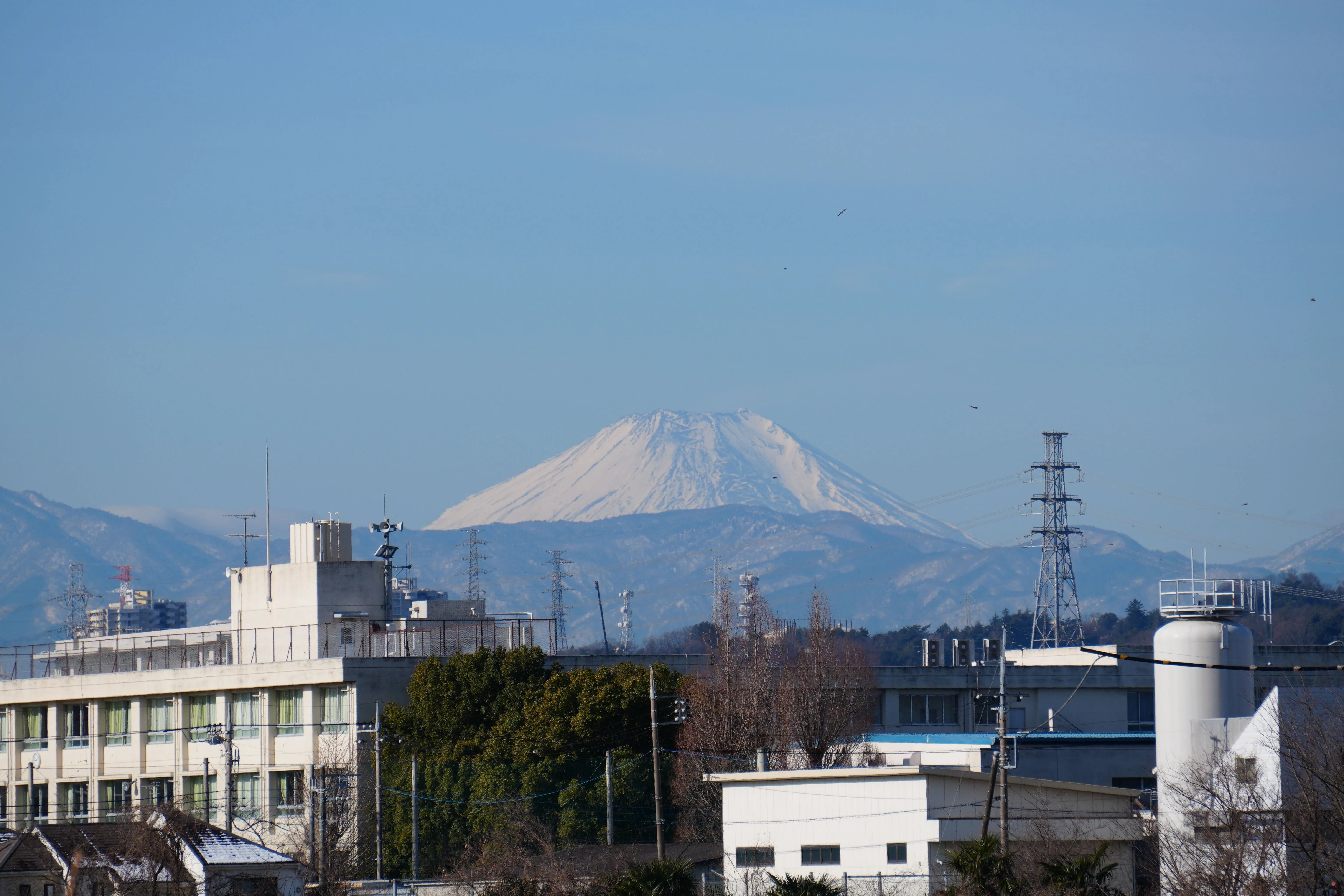 E 55-210mm F4.5-6.3 OSS - ISO 100 315 mm ƒ8 1/500s - 6192 × 4128