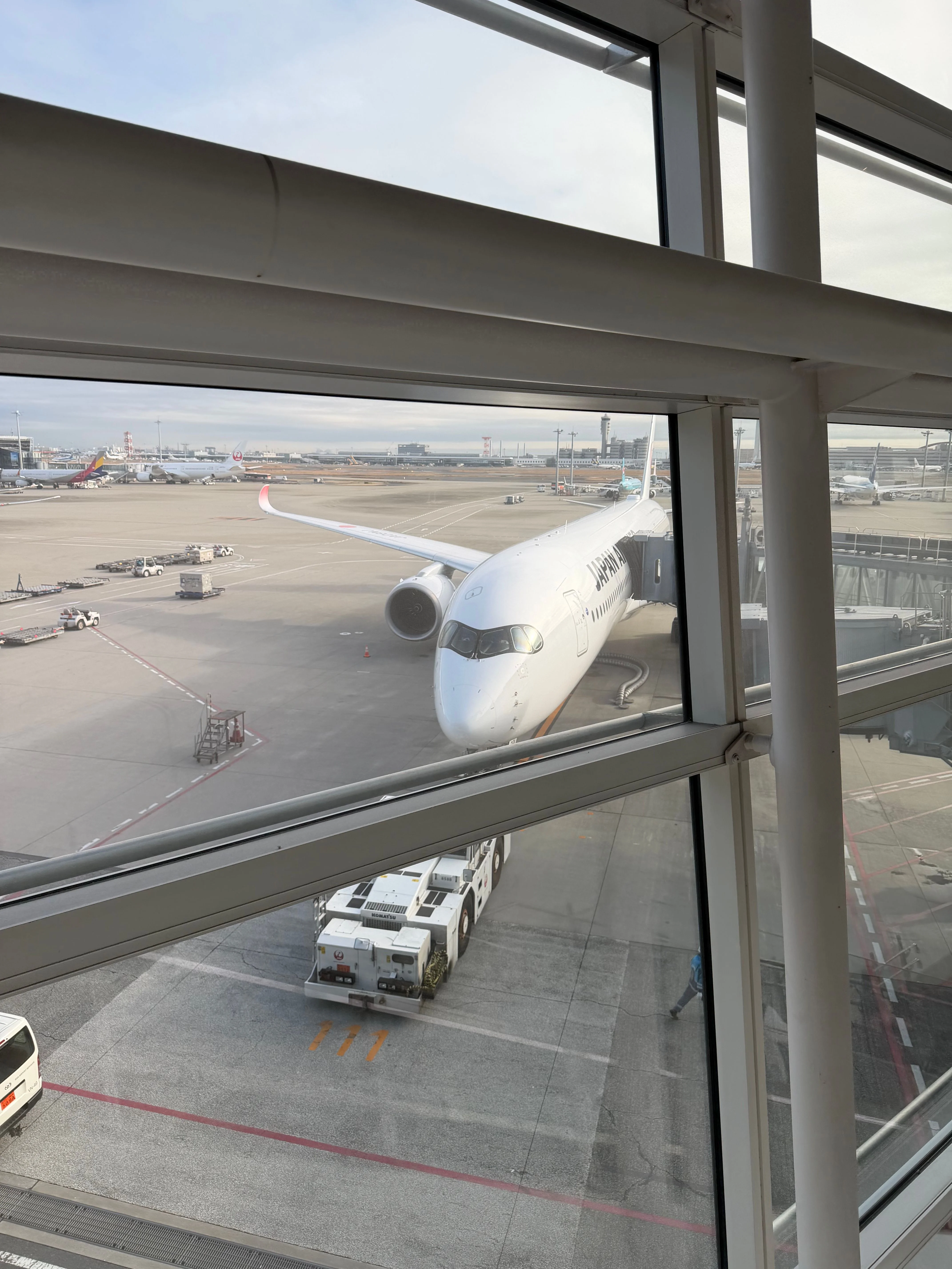 この飛行機にお世話になります