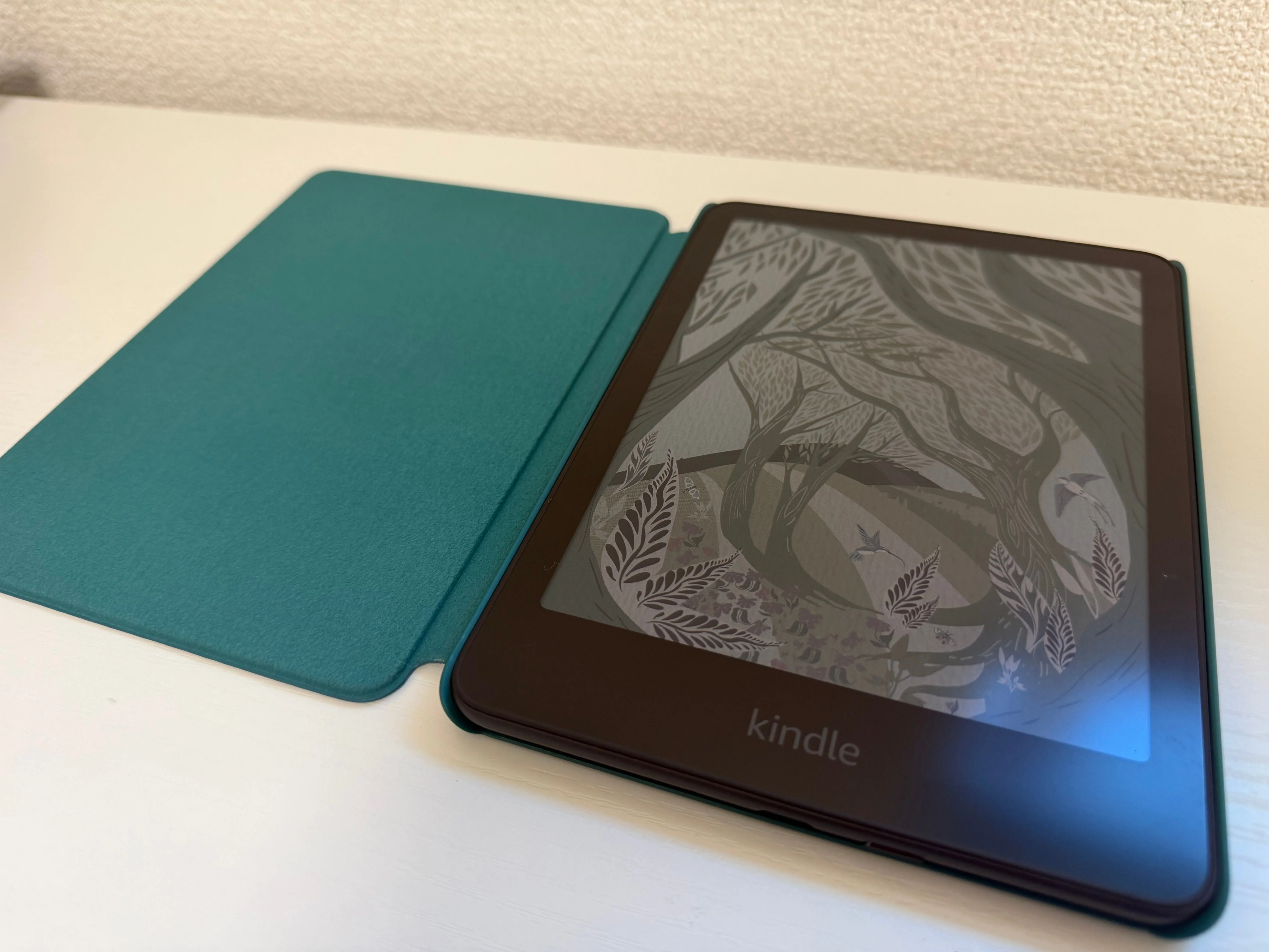 Kindle Colorsoft を購入しました