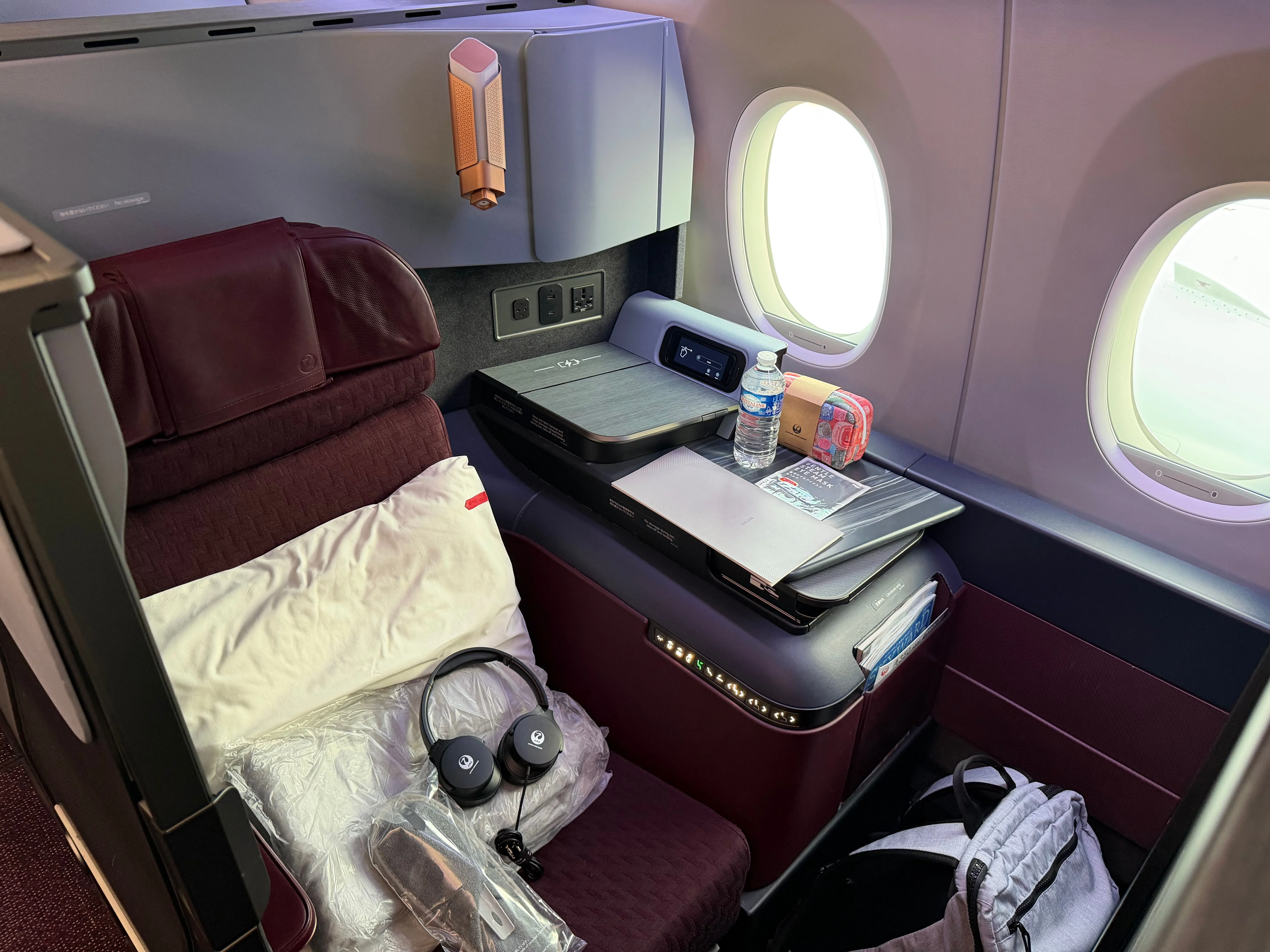 楽しかったフランス旅行は終わり、残るは帰りの JAL 便だけ
