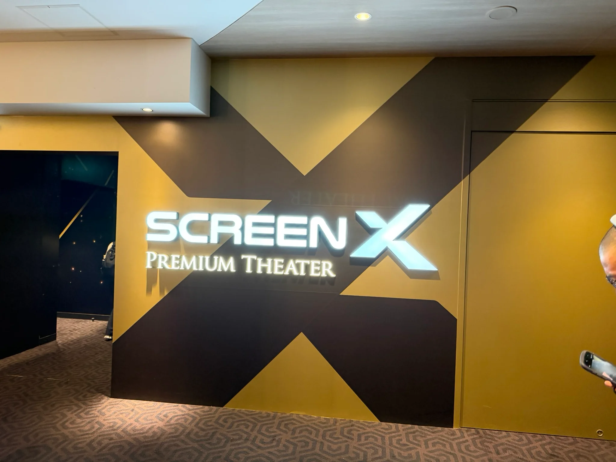 Screen X
