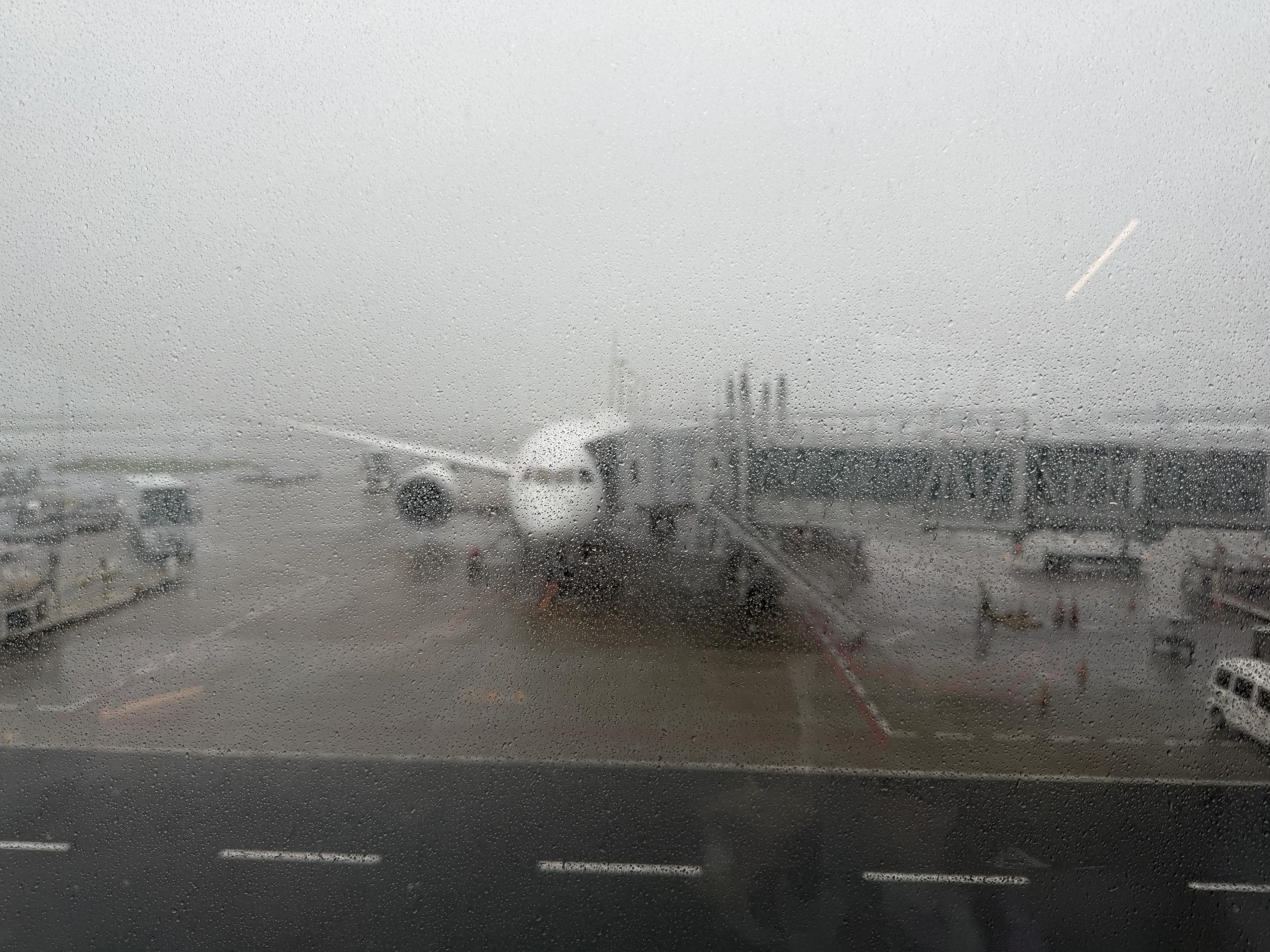 台湾に行ってきました - 帰国編